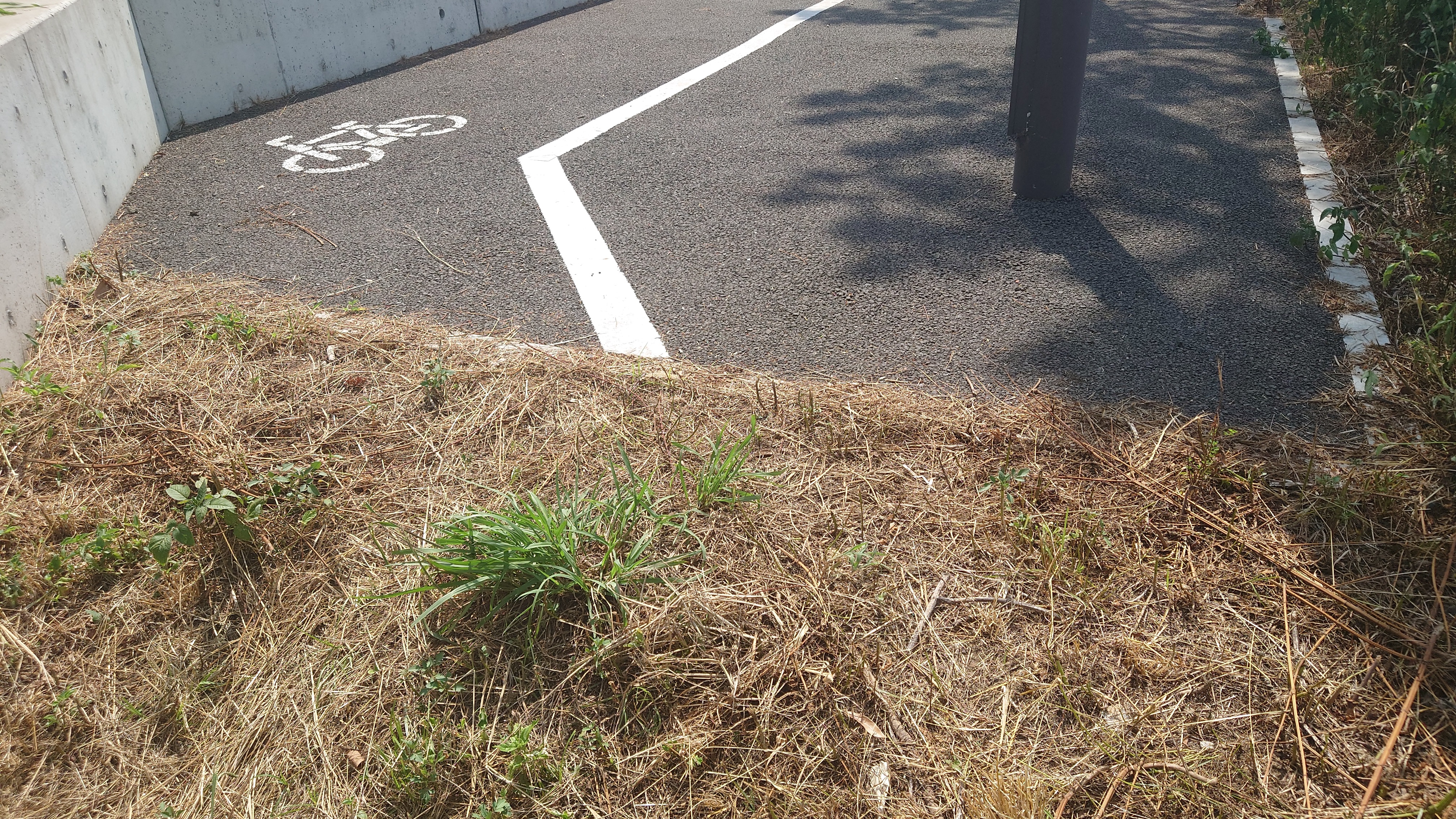夢の島スケートボードパーク 土工事